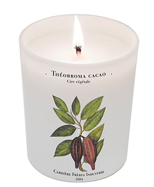 Cacao by Carriere Freres Industrie